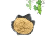 Mulberry Leaf Powder Manufacturer - Organic Extract