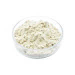 Shiitake Beta Glucan Factory - Water Soluble