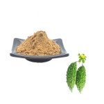 Mulberry Leaf Powder Manufacturer - Organic Extract