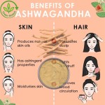 Cinnamon Extract Manufacturer - Ceylon Pure