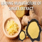 Ferulic Acid Powder Manufacturer - 98% Vitamin C