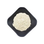 Beta Glucan Supplier - Animal Immunity