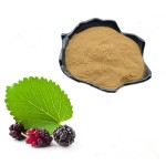 Chaga Mushroom Powder Supplier - 30% Polysaccharide