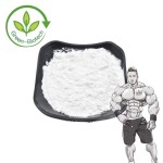 Creatine Powder Supplier - ODM Nutrition