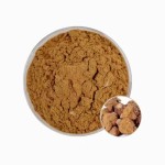 Shiitake Beta Glucan Factory - Healthcare Supplement