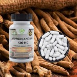 Cinnamon Extract Manufacturer - Ceylon Pure