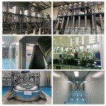 Mulberry Leaf Extract Factory - Skin Lightening