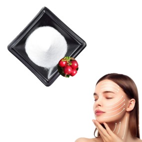 Mulberry Leaf Extract Factory - Skin Lightening