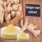 Ferulic Acid Powder Manufacturer - 98% Vitamin C