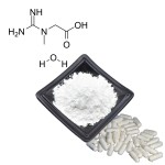 Creatine Monohydrate Supplier - Food Supplement