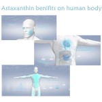 Canthaxanthin Difference Factory - Astaxanthin 100%