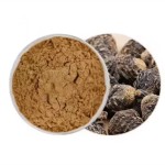 Shiitake Beta Glucan Factory - Healthcare Supplement