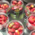 Organic Miracle Berry Manufacturer - Palate Modify