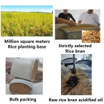 Alpha Arbutin Supplier - Pure Powder