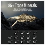 Shilajit Resin Manufacturer - Himalayan Fulvic