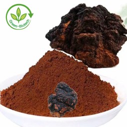 Chaga Extract Manufacturer - 10%-50% Polysaccharides