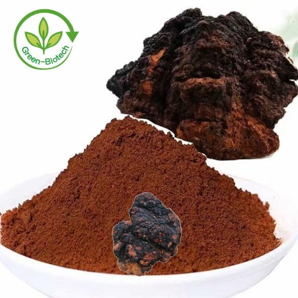Chaga Extract Manufacturer - 10%-50% Polysaccharides