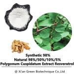 Resveratrol Powder Factory - Polygonum Cuspidatum