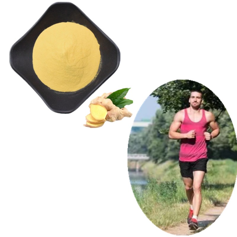 Ferulic Acid Powder Manufacturer - 98% Vitamin C