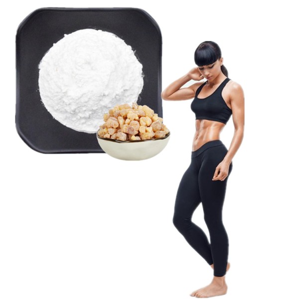 Monk Fruit Powder Factory - Mogroside V 50