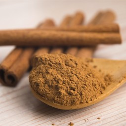 Maca Extract Powder Supplier - Men Health