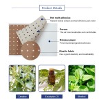 Herbal Pain Patch Supplier - Wholesale Factory Supply 10PCS/BOX