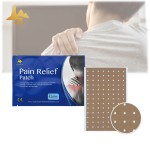 Herbal Menthol Patch Manufacturer - Medical Adhesive Pain Relief