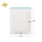 Herbal Plaster Supplier - Hot & Cold Therapy for Back Sciatica Pain