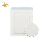 Herbal Plaster Supplier - Hot & Cold Therapy for Back Sciatica Pain