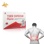 Capsicum Plaster Supplier - Custom Logo Muscle Pain Relief Patch