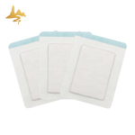 Herbal Plaster Supplier - Hot & Cold Therapy for Back Sciatica Pain