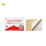 Capsicum Plaster Supplier - Custom Logo Muscle Pain Relief Patch