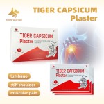Capsicum Plaster Supplier - Custom Logo Muscle Pain Relief Patch