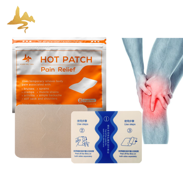 Capsicum Therapy Pack Supplier - Hot & Cold Muscle Pain Relief Patch