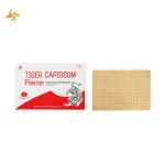 Capsicum Plaster Supplier - Custom Logo Muscle Pain Relief Patch