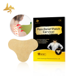 Pain Relief Plaster Manufacturer - Neck Shoulder Knee Pain Patch