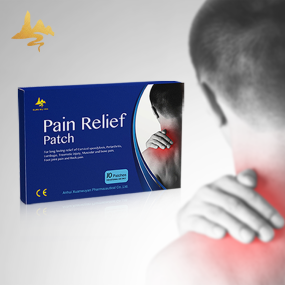 Herbal Menthol Patch Manufacturer - Medical Adhesive Pain Relief