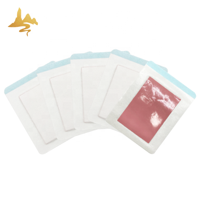 Herbal Plaster Supplier - Hot & Cold Therapy for Back Sciatica Pain