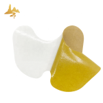 Wormwood Pain Patch Supplier - Natural Herbal Knee Joint Relief