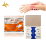 Capsicum Therapy Pack Supplier - Hot & Cold Muscle Pain Relief Patch
