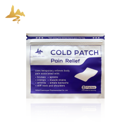 Menthol Plaster Factory - OEM Disposable Transdermal Joint Pain Relief