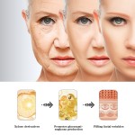 Exosome Serum Factory - PDRN Facial