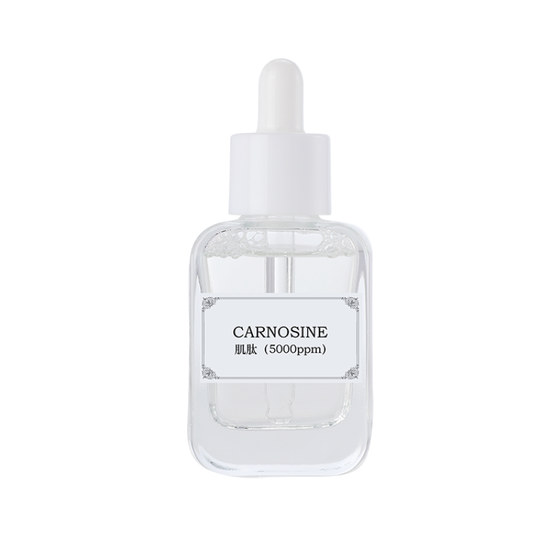 Carnosine Supplier - Antioxidant Peptide