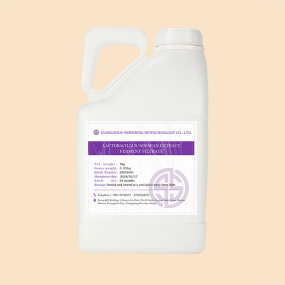 Probiotic Soy Ferment Factory - Multi Functional