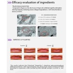 Palmitoyl Tripeptide Supplier - Cosmetic Ingredient