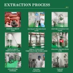 Skin Barrier Serum Factory - Peptide Complex