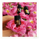 Rose Oil Supplier - Aromatherapy Grade