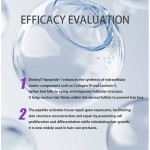 Biotinoyl Tripeptide Supplier - Scalp Care