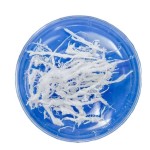 PDRN Powder Manufacturer - Cosmetic Raw Material