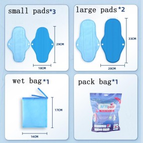 Sanitary Napkin Supplier - 5pcs Softness Quick Dry with Bag